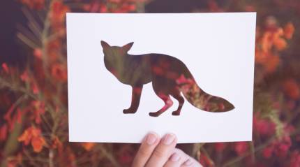 Understanding the Animal Personality Test: Discover Your Inner Animal